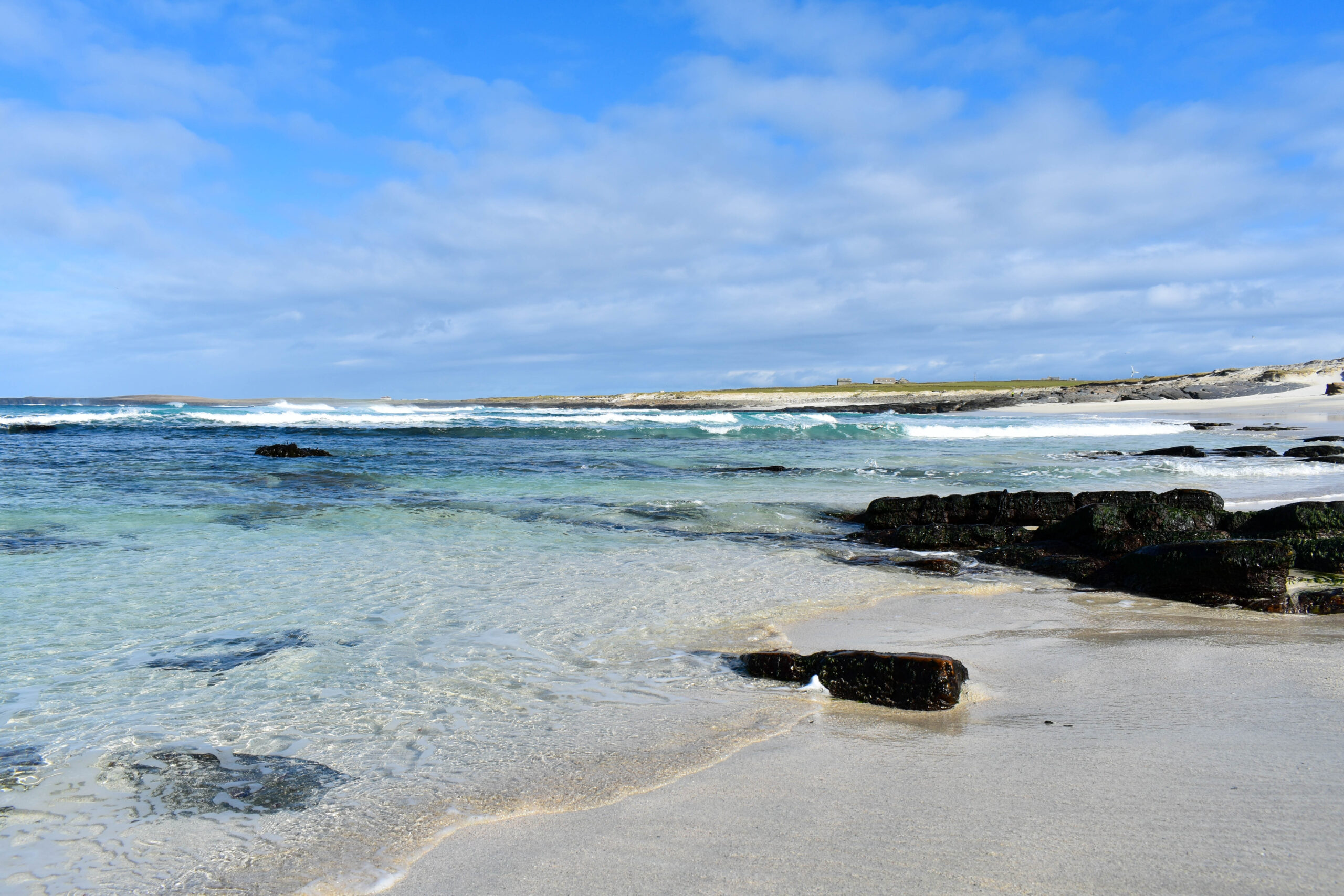 Marine Litter Working Group